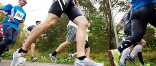 Perfekt löparväder för Kung Björn