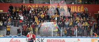 Historiskt högt publiksnitt för Luleå Hockey