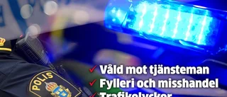 Polisens sammanfattning av natten