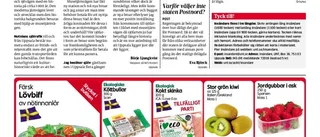 Vi behöver broar och sjöfart