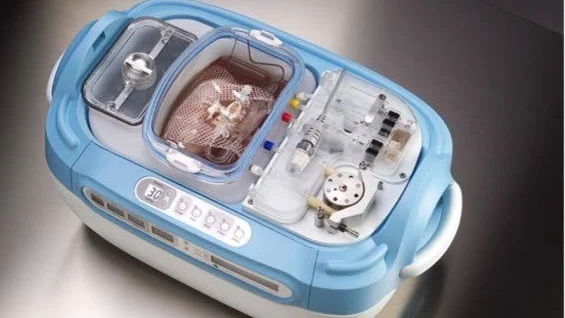 Efter att njuren tagits ut från en avliden donator förvaras den i en så kallad perfusionsmaskin före transplantationen. Det är under den tiden som njuren förbehandlas med det nya läkemedlet.