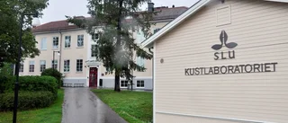 Öregrund kan mista Kustlaboratoriet