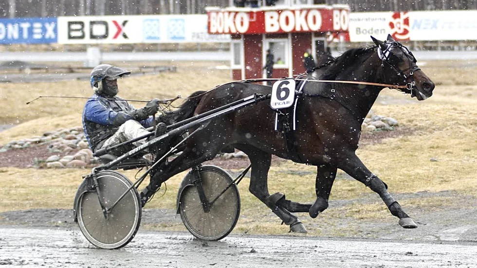 Jaakko Alamäki.