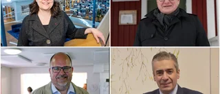 Statsråden är som kalvar på grönbete