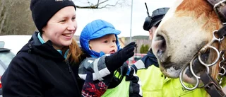 Hästen är tradition i Dalhem