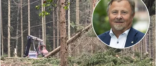 Norra skog höjer virkespriserna: "Ett steg framåt för att öka lönsamheten"