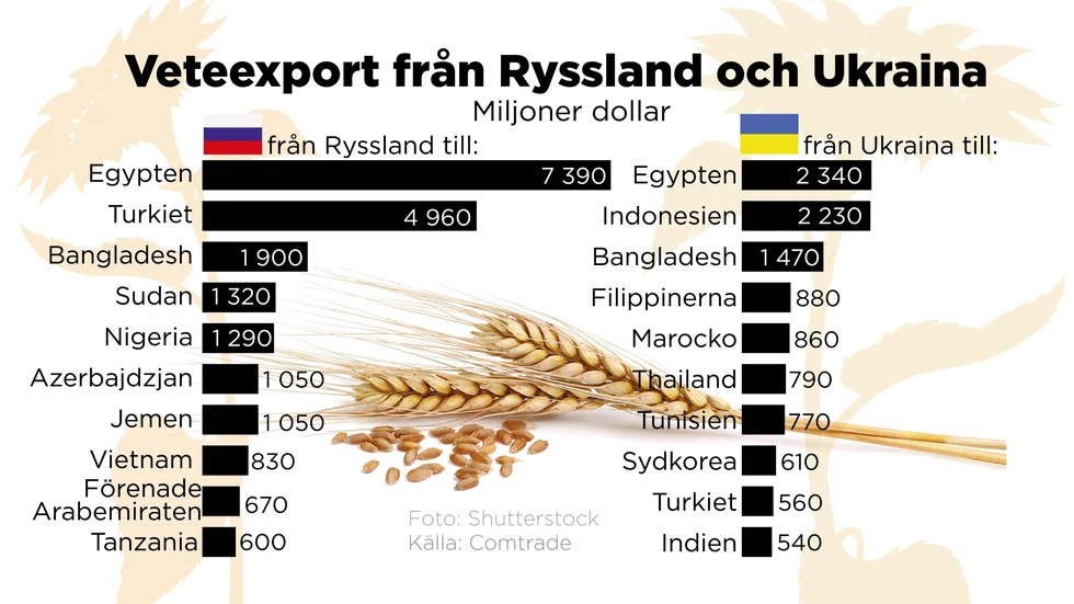 Ukraina och Ryssland har stått för omkring 30 procent av världens veteexport. Vad gäller export av solrosolja är Ukraina världsetta.