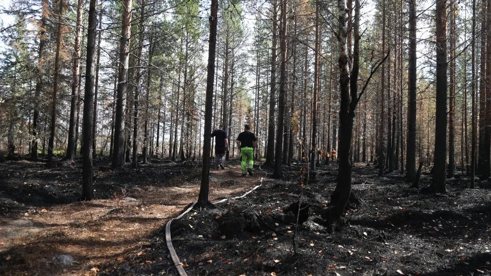 Brandhärjade marker så långt ögat når. Efterbevakningen består i att gå runt och se till att inget blossar upp på nytt, och släcka där det verkar kritiskt. Kilometervis med slang har dragits genom oländig terräng.