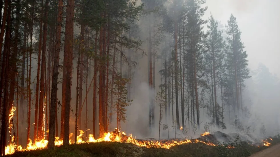 Uppskattningsvis 2500 hektar har brunnit i Norrbotten i sommar.