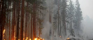 Skogsbränderna: 900 miljoner kronor