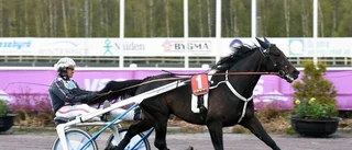 Salmela siktar på nya storlopp med Makethemark