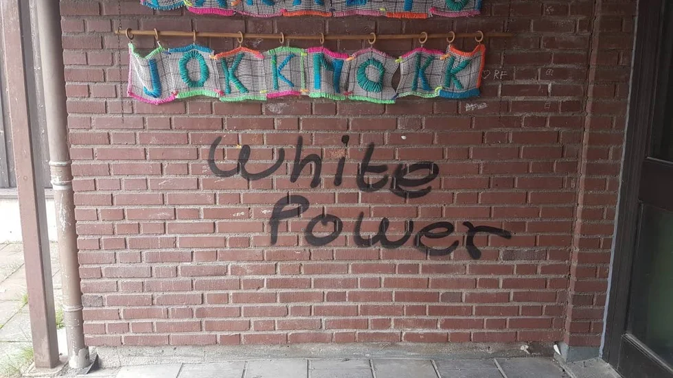 Nazisymbolerna och vit makt-klottret har polisanmälts.