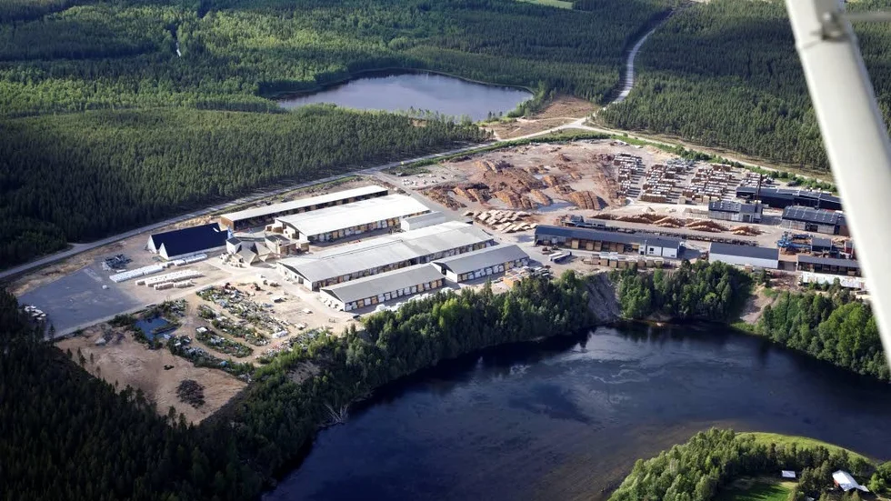 Störst. Stenvalls i Sikfors har utvecklats till Norrbottens största träindustriföretag.
