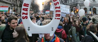 Tillsammans mot Orban?