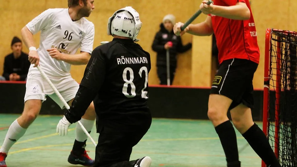 Motståndare. Eller blir det kanske Jimmy Rönnmark i Lamadjuret som får jubla?