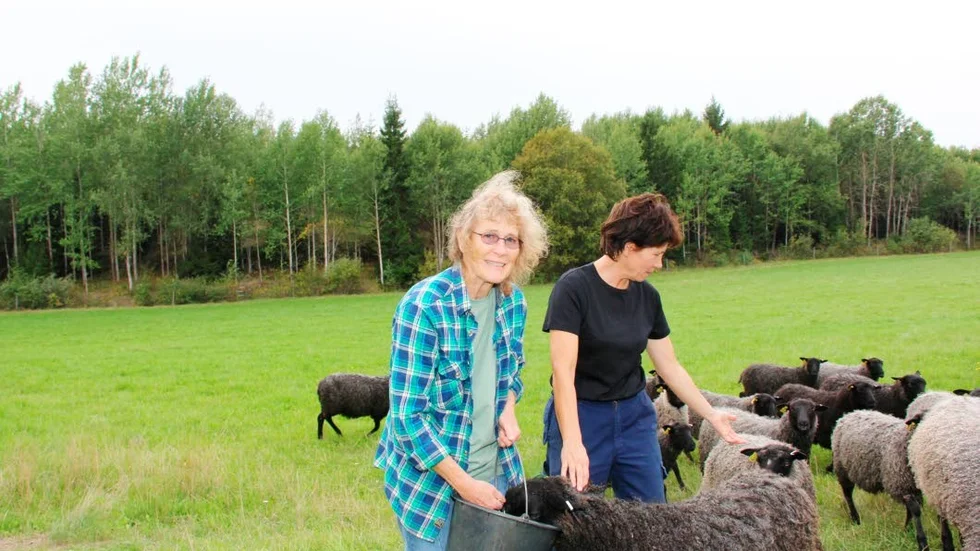 Ekonomisk stöd. Alsike Prästgård får ekonomiskt stöd. Amelie Berger mottog beskedet med glädje.