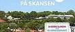 Allsång på Skansen hemma