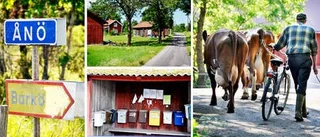Namnlös väg har bästa limpan