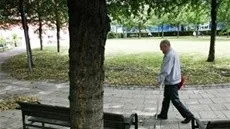 Svintorget?