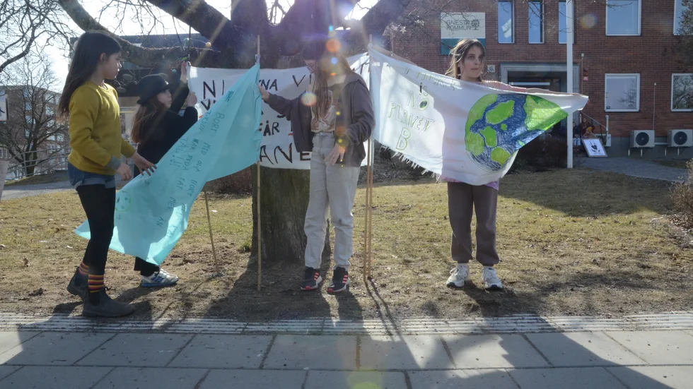 Lova Lundengård, Francis Herrero, Celini Eissing och Filippa Lingmert tog vårens första skolstrejk för klimatet nästan ut på gatan.