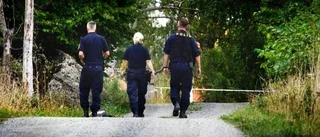 Döms till 17 års fängelse