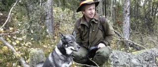 Nu mår älgstammen bättre i Uppland