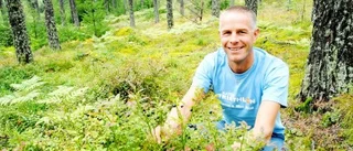 "De flesta bär gynnas av fukt"