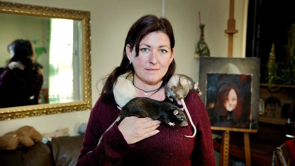 Pälsterapi. Ylva Larsson med sina tre vuxna tamråttor Frost, Blixten och Dusty. I bakgrunden syns ett självporträtt. Ylva målar också tavlor där hon jobbar med tuschpennor, bläck och akvarell, och har haft flera utställningar, bland annat på Infoteket i Uppsala.