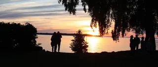 Succé för Vadstenaopera med sting