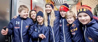 Mer än bara ishockey