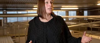 Gröna innovatörer samlas i Uppsala