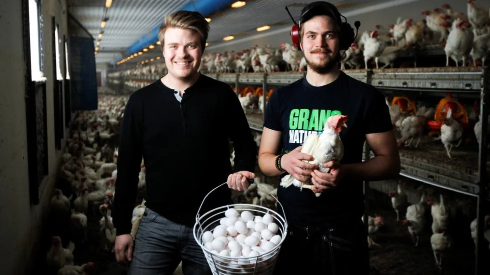 Viktor och Anton Boman driver Klöverbergsgården som under påsken tömmer lagret för att svara upp på den ökade efterfrågan av ägg.