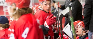 Kalix Hockey värvar Linköpingprodukt