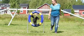 Hundvänner har en dröm