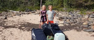 Ploggning i skärgården