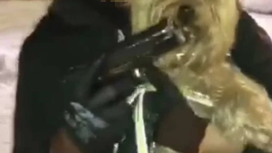 Polisen hittar en bild på mannen med en hund. Han har ett vapen riktat mot hunden som han säger är hans.