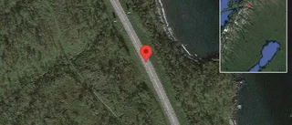 Stillastående fordon på E10 - stopp i ett körfält