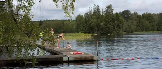 Kommunen avråder från bad – hälsofarlig algblomning har skådats