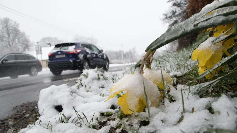 Precis som förra helgen väntas snö i Östergötland under veckoslutet.