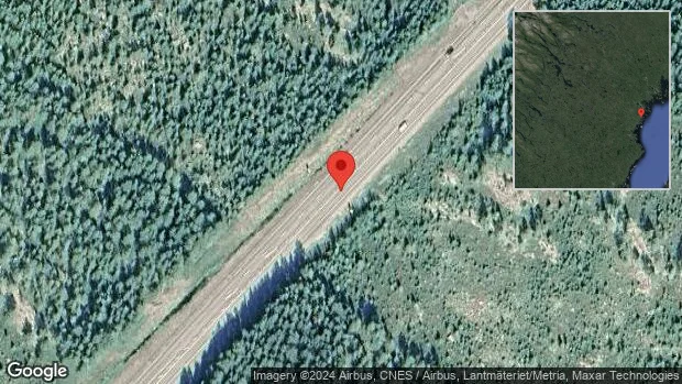 Älg på fel sida av viltstängslet på E4