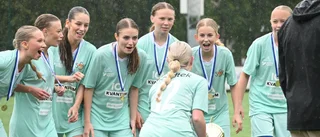Skyfallet sa sitt och spelarna sitt – sju DM-finaler är avgjorda 