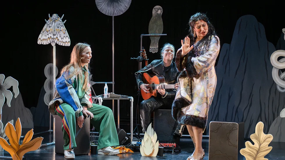 Föreställningen bygger på intervjuer som dramatikern Lucia Cajchanova gjort med artisterna Salamanca Taikon Gonzalez och Sofia Jannok.