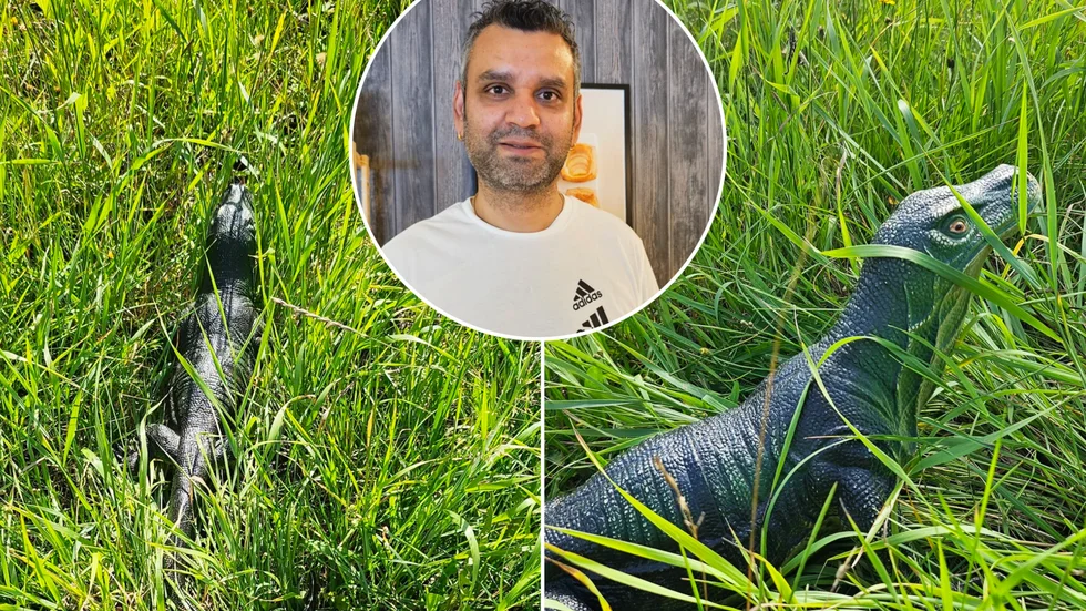 Mandeep Kumar var på väg till jobbet en tidig måndagsmorgon när han såg den konstiga reptilen. Nu kan han dock skratta åt hela situationen.