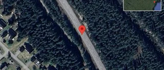 Varning för älg på vägen på väg 506