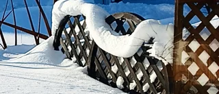 Läsarbilden                       