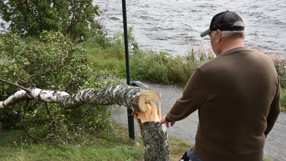 Kenneth Karlsson som bor på Varvet berättade för Kuriren under tisdagen att han är ursinnig över att träden har blivit kapade då de bidrar med viktiga egenskaper som att förhindra vind och väta.