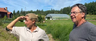Lägger ner sitt företag för att hjälpa Elin med hennes