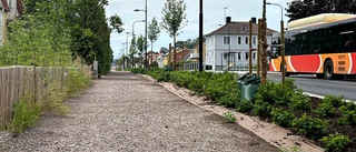 "Rädda att vi orsakar lite mer skada än nytta"