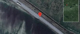 Rådjur på vägen kan skapa fara på väg 34
