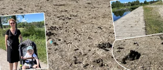 Bajskaoset – mitt på stranden  